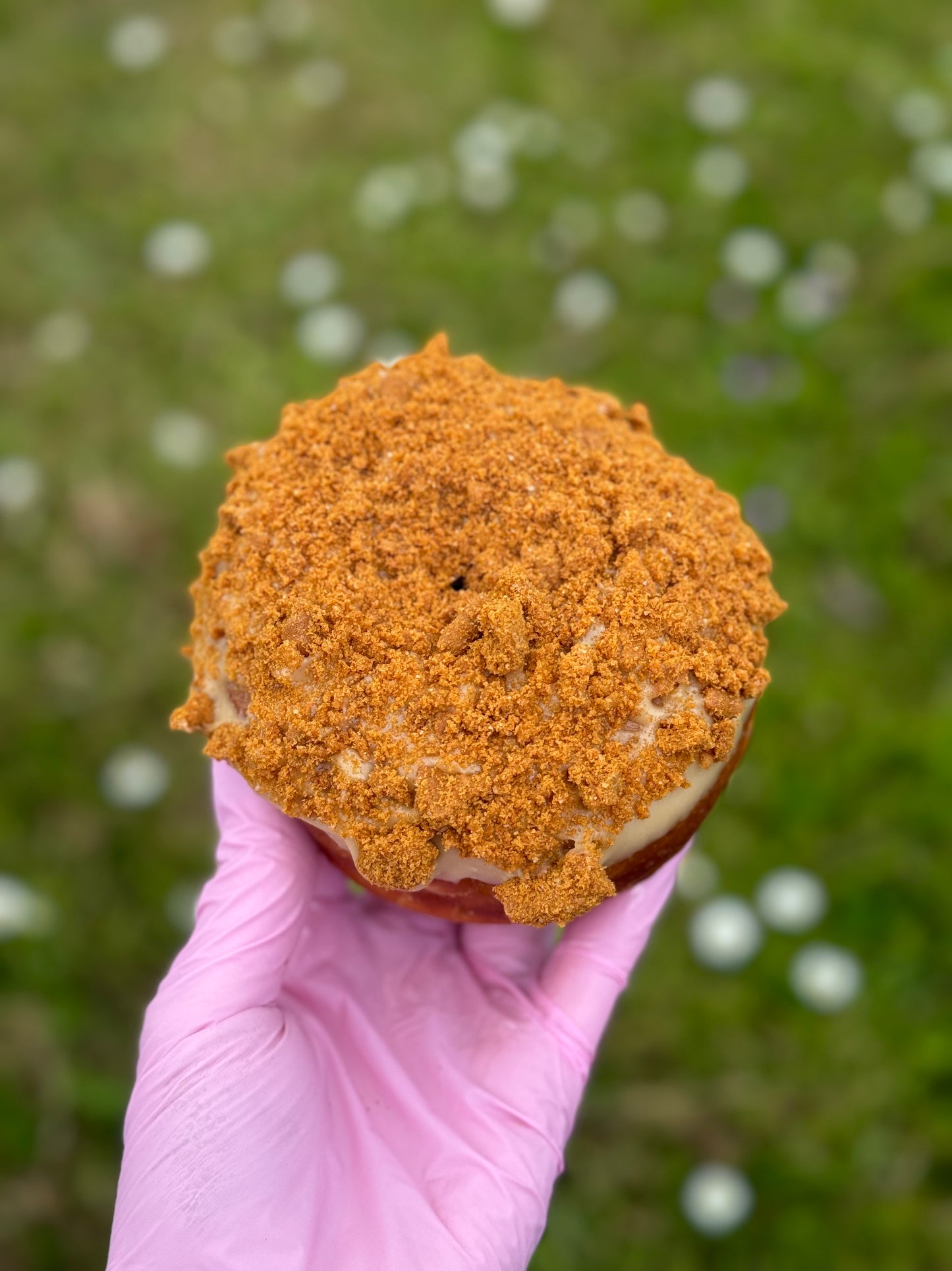 Postal Doughnuts - All Time Favourites