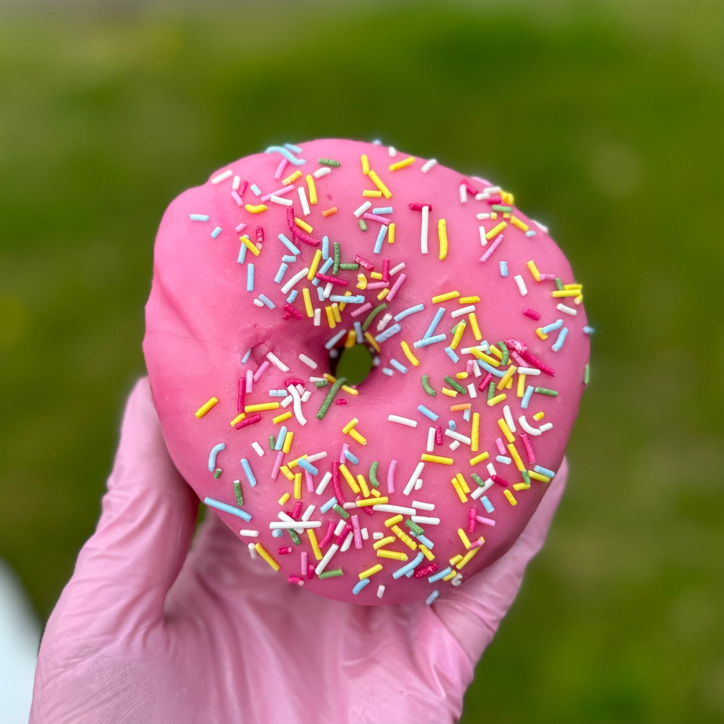 Postal Doughnuts - Homies (raspberry sprinkle)