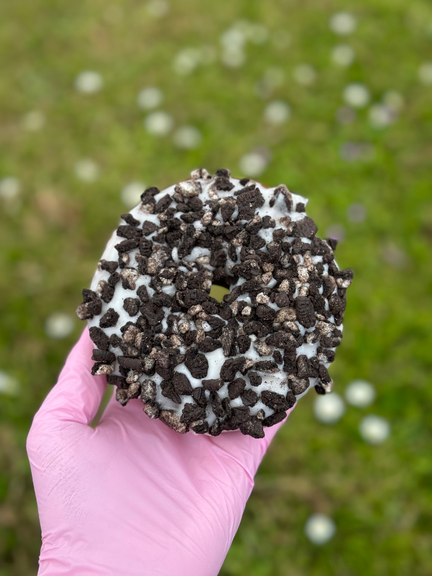 Postal Doughnuts - All Time Favourites