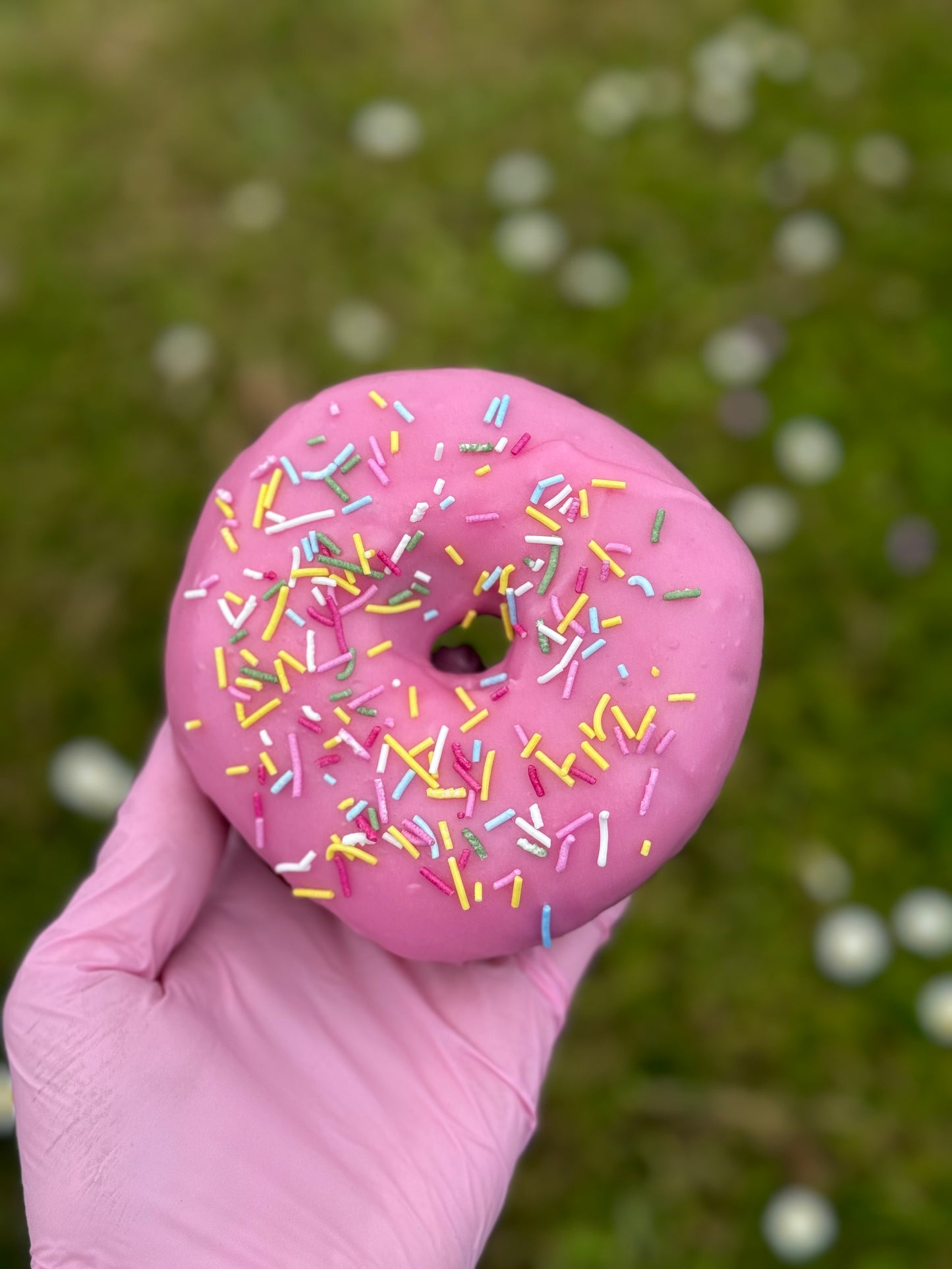 Postal Doughnuts - All Time Favourites