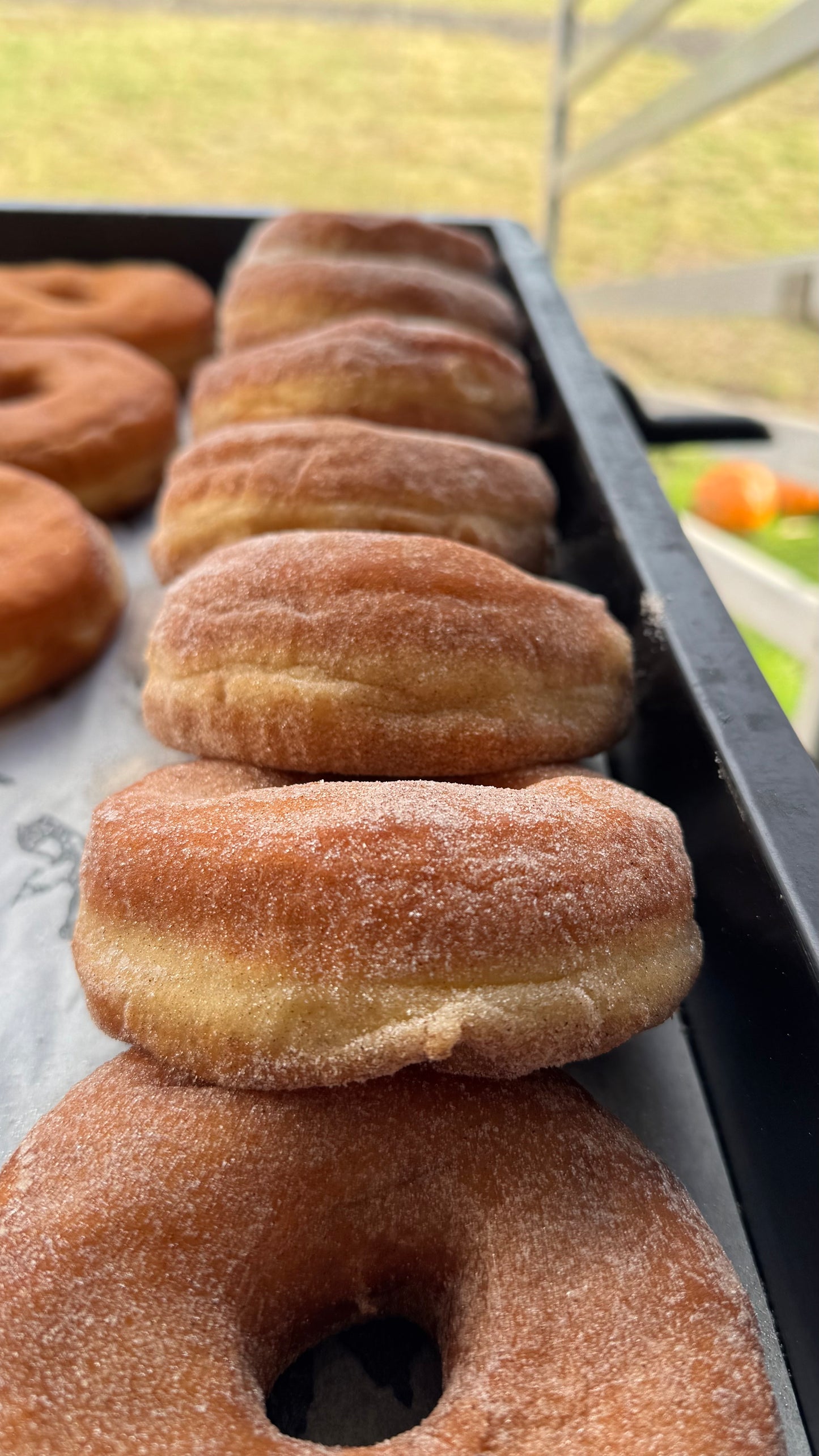 Gingerbread Sugar Doughnuts Collection Only